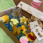 Mas Box